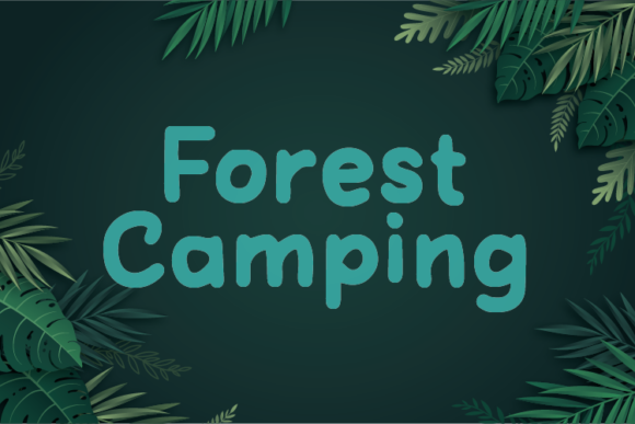 Forest Camping: A Natural Handwritten Font for Editorial Design and Content Branding