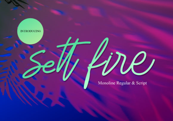 How Sett Fire Font Transformed My Small Business Branding