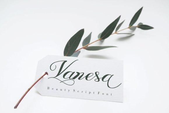 Vanesa: A Delicate Script Handwritten Font for Creative Designs